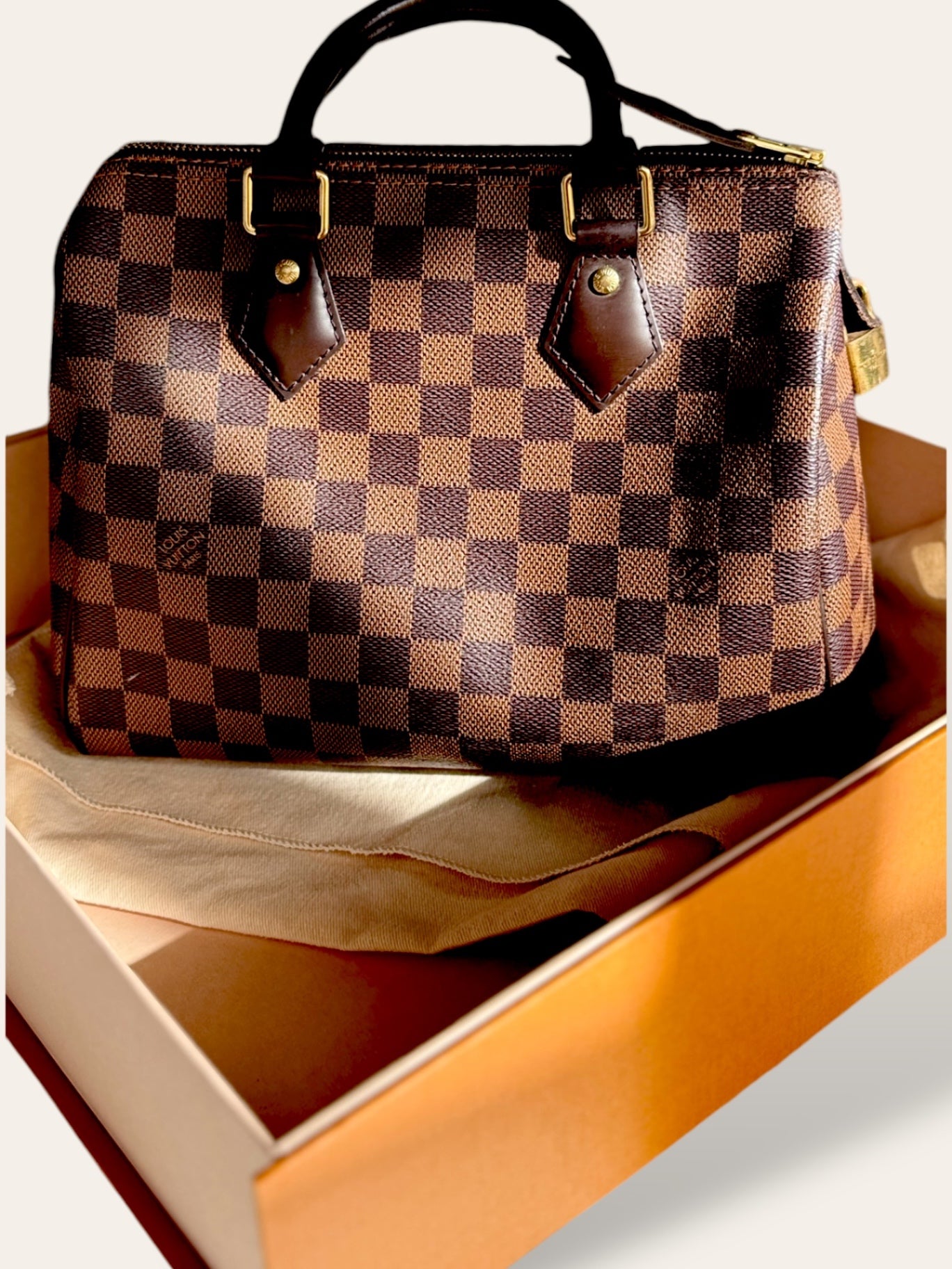 Louis Vuitton Damier Ebene Speedy Bandouliere 25 980 The Backroom