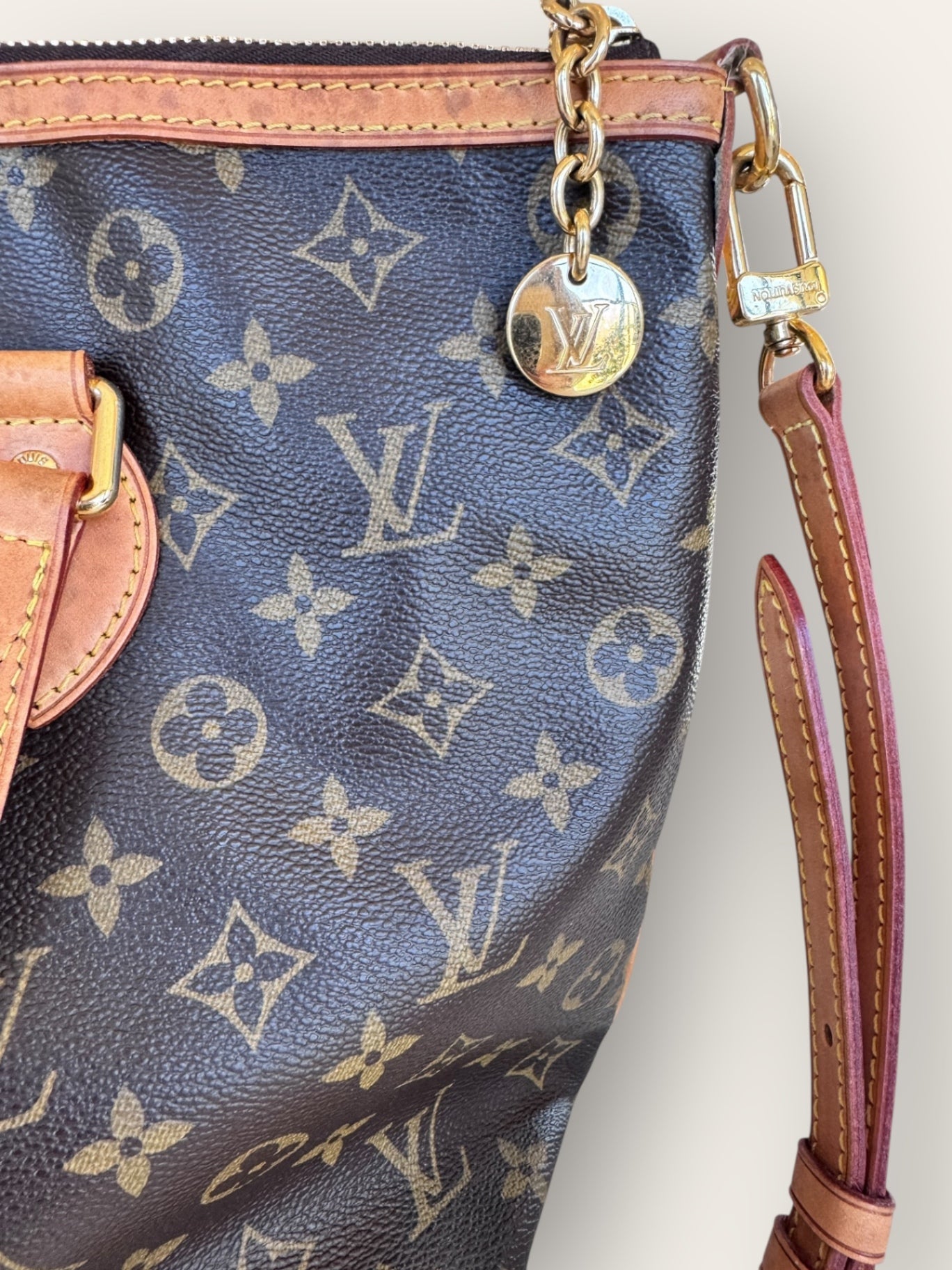 LOUIS VUITTON Monogram Canvas Palermo PM Bag RRP $1650
